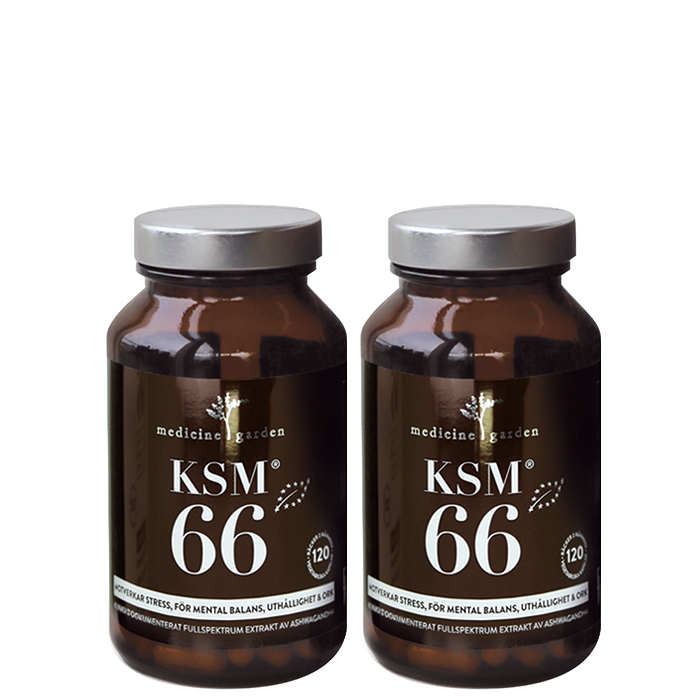 2 x KSM-66