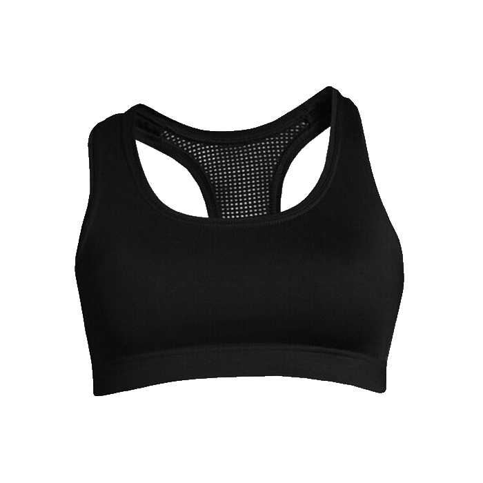 Iconic Sports Bra
