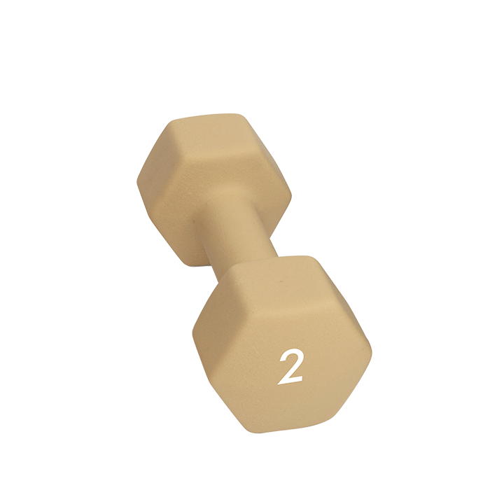 Abilica Hantel 1–10kg