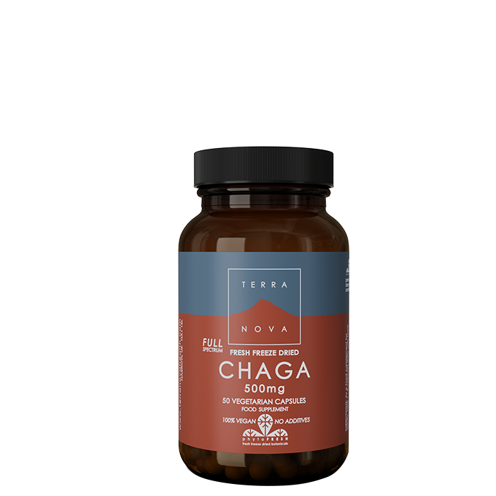 Chaga 500 mg 50 kapslar
