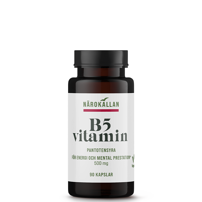 B5 500 mg 90 kapslar