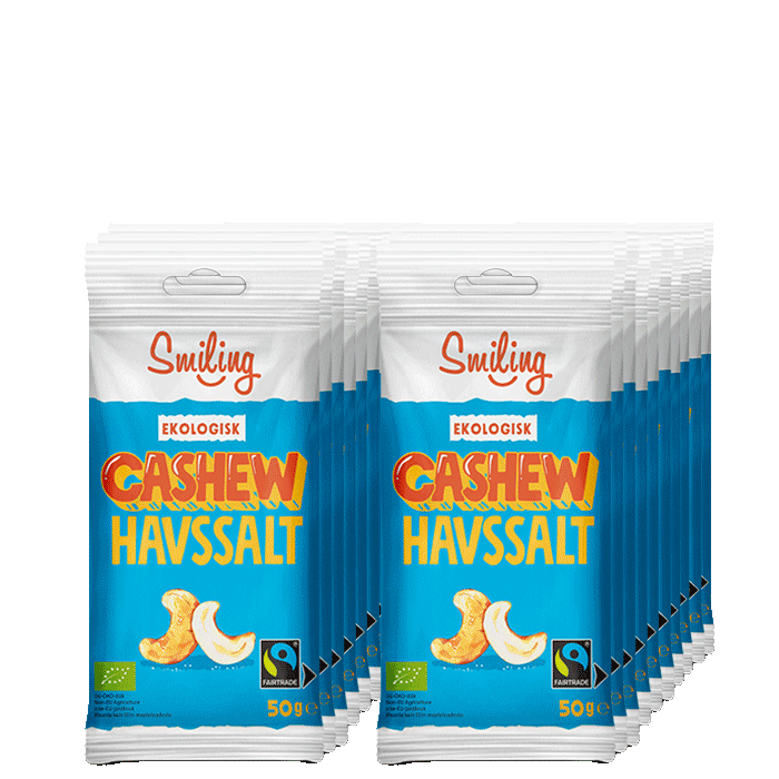 20 x Naturgodis Cashewnötter 50 g