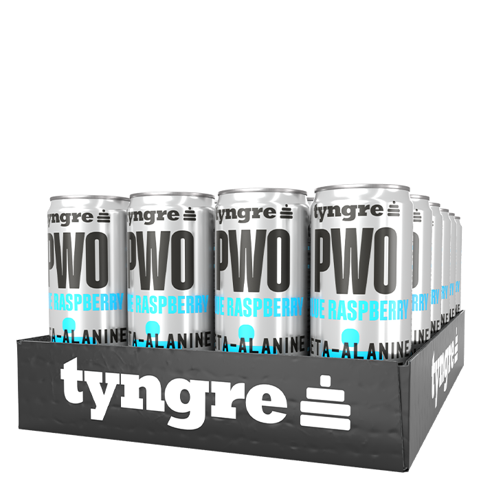 24 x Tyngre PWO 250 ml